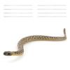 Sand Python Model Pvc Reptile Scene Decor For Nature Lovers And Collectors