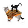 Halloween Pet Cat and Dog Supplies, Standing Black Cat Clothes, Funny Teddy Bichon Frise