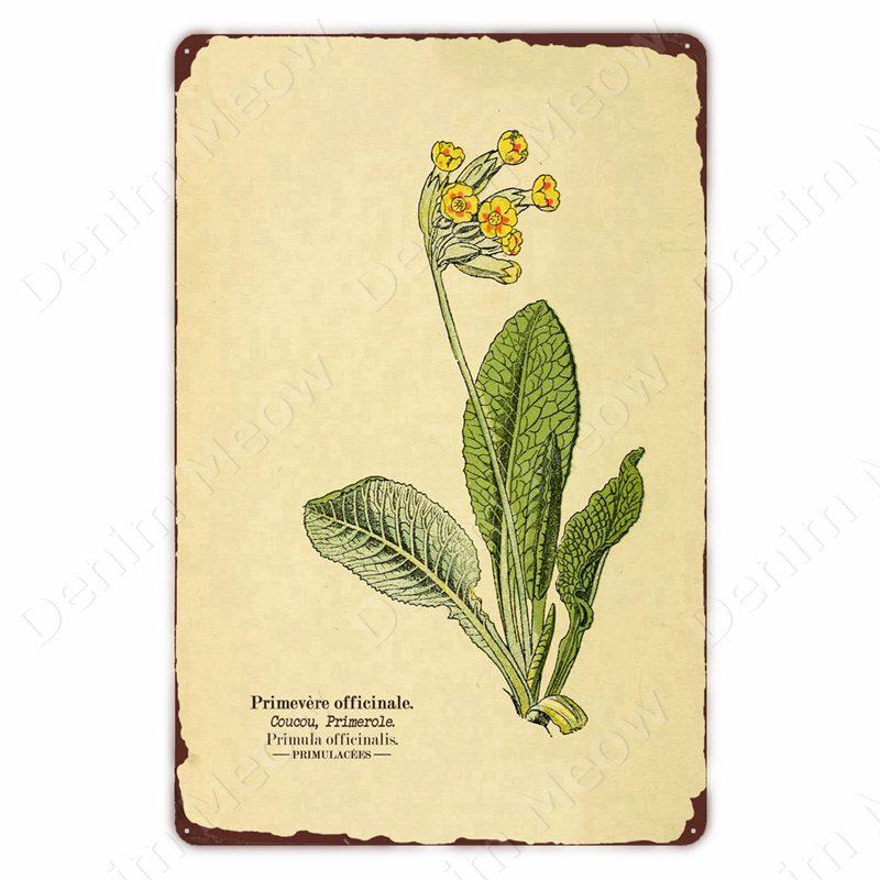 VintageWildFlowersMetalSign Vintage Metal Tin Sign - Wild Flowers Plant Herbarium Art Plaque, Kitchen/Home Wall Decor
