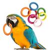 10 sztuk Pet Bird papuga zabawki wywiadowcze naturalny drewniany pierścień papuga zabawka szkoleniowa zabawki do żucia zabawki dla papużek falistych wzrost zabawki artykuły dla ptaków