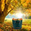 Cross-Border Corrosion-Resistant Large Capacity Fallen Leaves Compost and Storage Bag