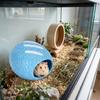 Cooling Bread Shaped Reptile Hideout Anti-slip Fish Spawning Cave Pet Habitat Cave  Reptile Cage