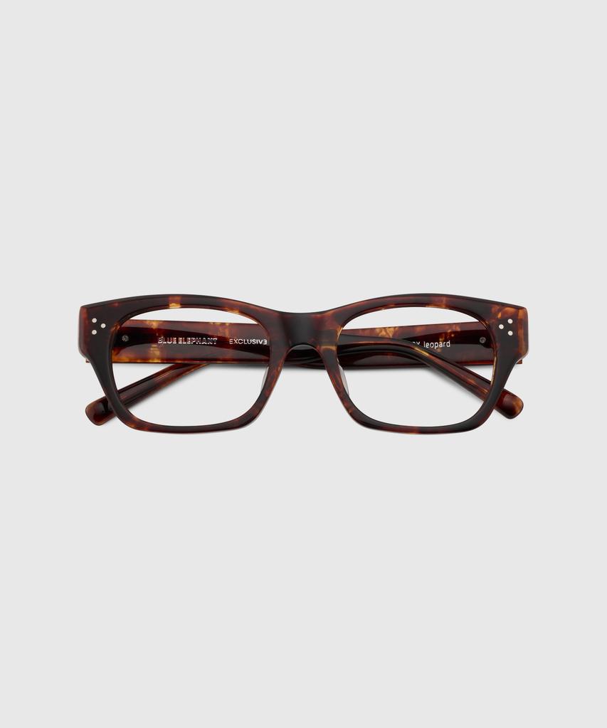Beulluellipeonteu Garry Leopard