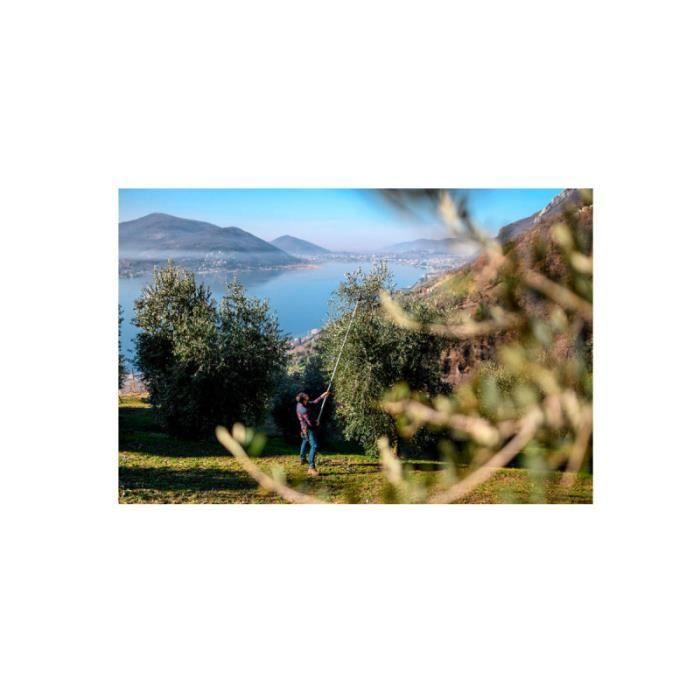 Coupe Branches STOCKER - 230-400cm - Tête De Coupe Pivotante - 79024