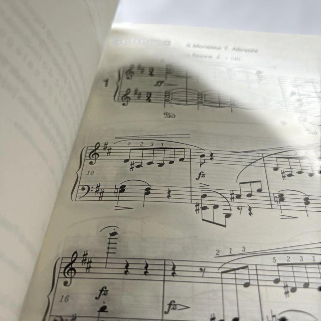 [USED] Chopin Scherzos Jan Ekier