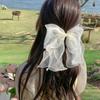 Ribbon Bowknot Hair Clips Barrettes Girls Headwear Sweet Spring Clip  Women Ponytail