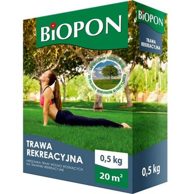 RECREATIONAL GRASS 0.5 KG - BR BIO-1113