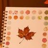 Coloring Picture Book with 12 Paint Colors Thickened Pages Animal Flower