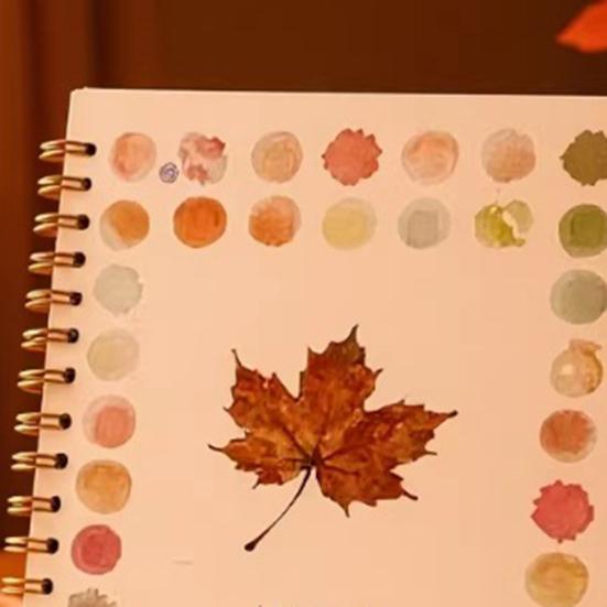 Coloring Picture Book with 12 Paint Colors Thickened Pages Animal Flower