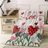 Valentine's Day Throw Blanket Red Pink Love Heart Soft Flannel Blanket Romance Decor Gifts for Lover Family Wife Blankets