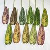 Realistic Tropical Faux Plant Home Decor With Green Leaves For Photography And Wedding Arrangements