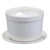Pure White Ceramic Stew Pot with Lid: Versatile Double Boiler for Soup, Eggs, Bird's Nest, and Tonics