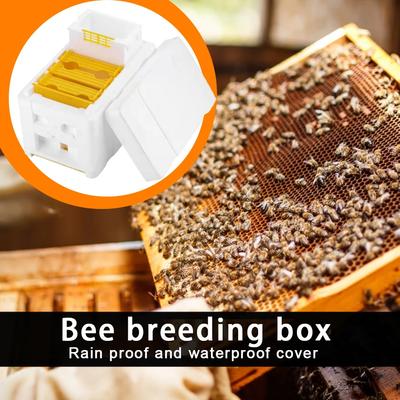 Beehive Beekeeping Box Tools For Beekeeper Supplies Bee Hive Frame Holder Equipment Kit Beehive Pollination King Bees Hive Box