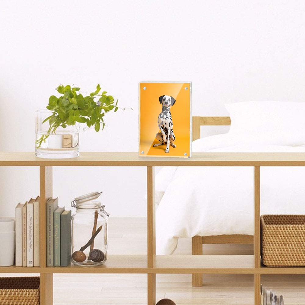 Lapeno Acrylic Photo Gift 2L Transparent Postcard Poster Display Perfect for New and Christmas Frame, Magnetic, Packaging, Size, Double-Sided Clear,