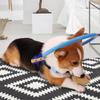 Blind Dog Safe Pet Ring Behavior Aid Dogs Protect Angel Wing Blue (XS)