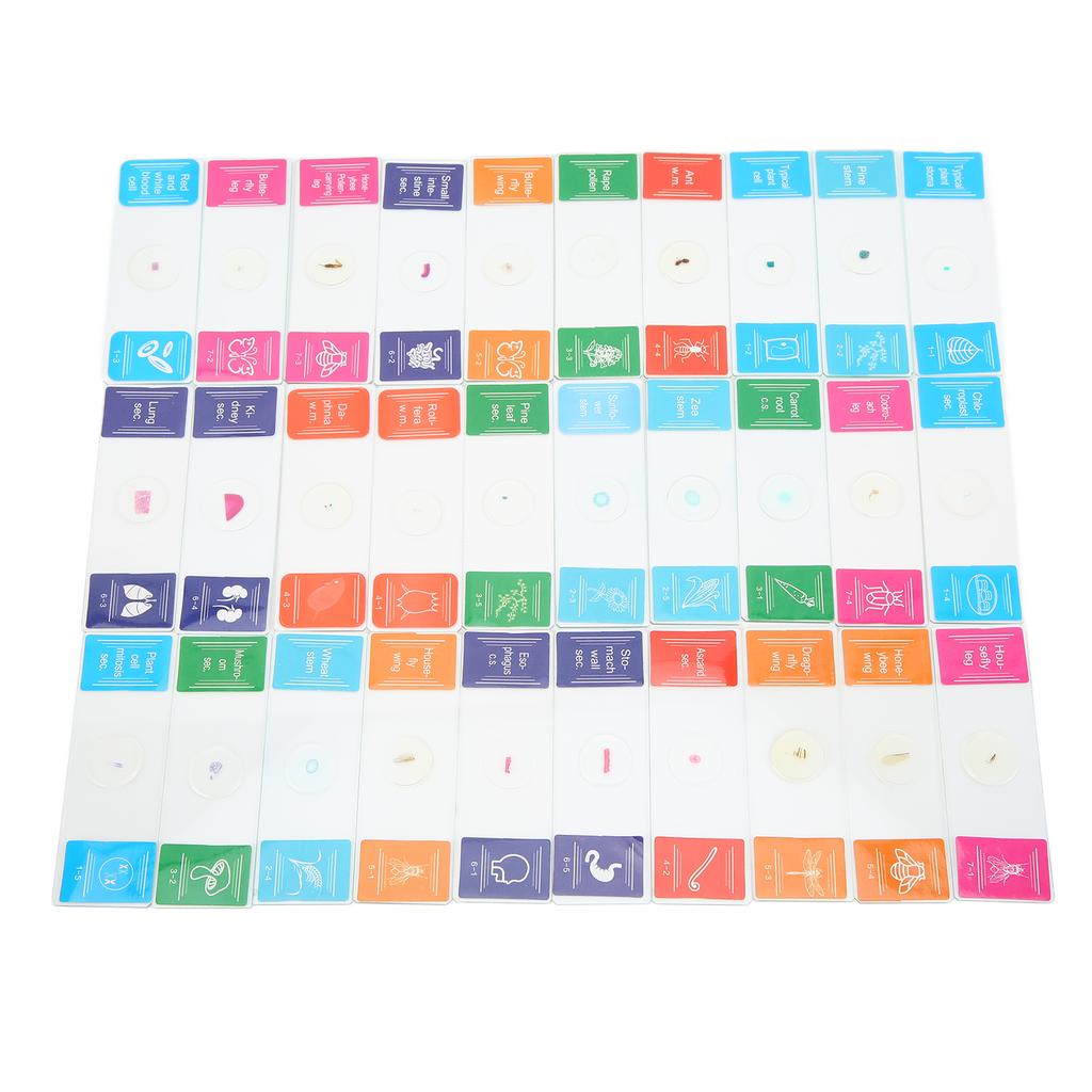 30Pcs Microscope Slides with Box Transparent Biology Prepared Slide Set for Laboratory