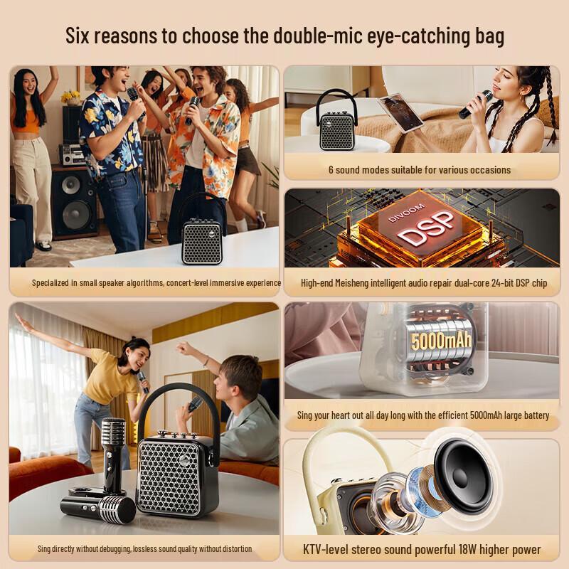 Dianyin SongBird-SE Home Karaoke Bluetooth Speaker with Dual Microphones