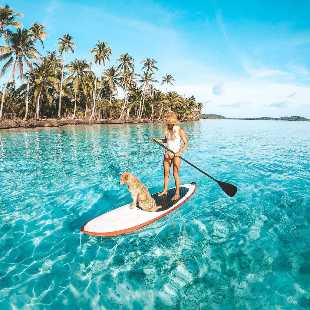 3-Piece SUP Paddle Adjustable Aluminum Stand Up Paddleboard Paddle