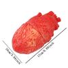 Halloween Ghost Day Simulation Brain Toys Horror Rubber Fake Human Brain Prop Toy Organ Body Part Halloween Decoration Accessory