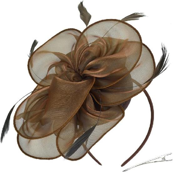 DRESHOW Fascinators Hat Tea Party Headwear Ribbons Feathers on a Headband and a Clip for Women