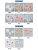 Silk Flower Wedding Aisle Decorations & Display Props