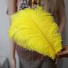 Ostrich Feathers 30-35Cm Wedding Road Guide Table Flower Ornament Ostrich Hair Decorative Clothing Accessories Diy