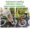Plastic Hydroponic Grower Kit Self Watering Versatile Cultivation Box  Vegetable Growing