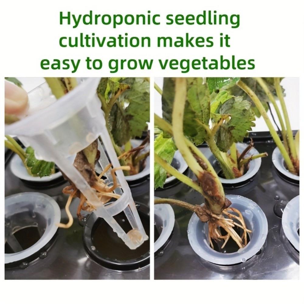 Plastic Hydroponic Grower Kit Self Watering Versatile Cultivation Box Vegetable Growing