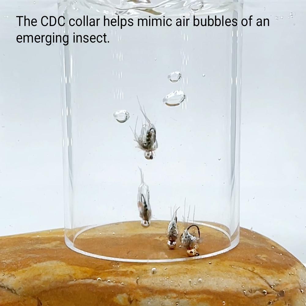 Nimfa Hustler z główką wolframową dla szybkiego tonięcia, pióro CDC, żebrowanie UV, na pstrąga, okonia, wędkarstwo muchowe, rozmiar haczyka 16