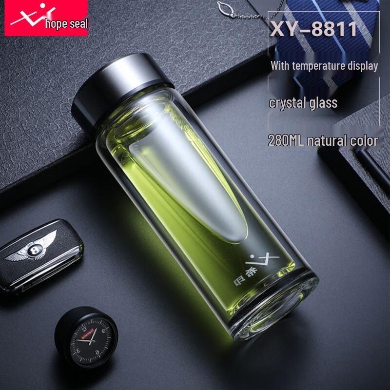 Xi Yin 280ml Double Layer Insulated Tea Cup