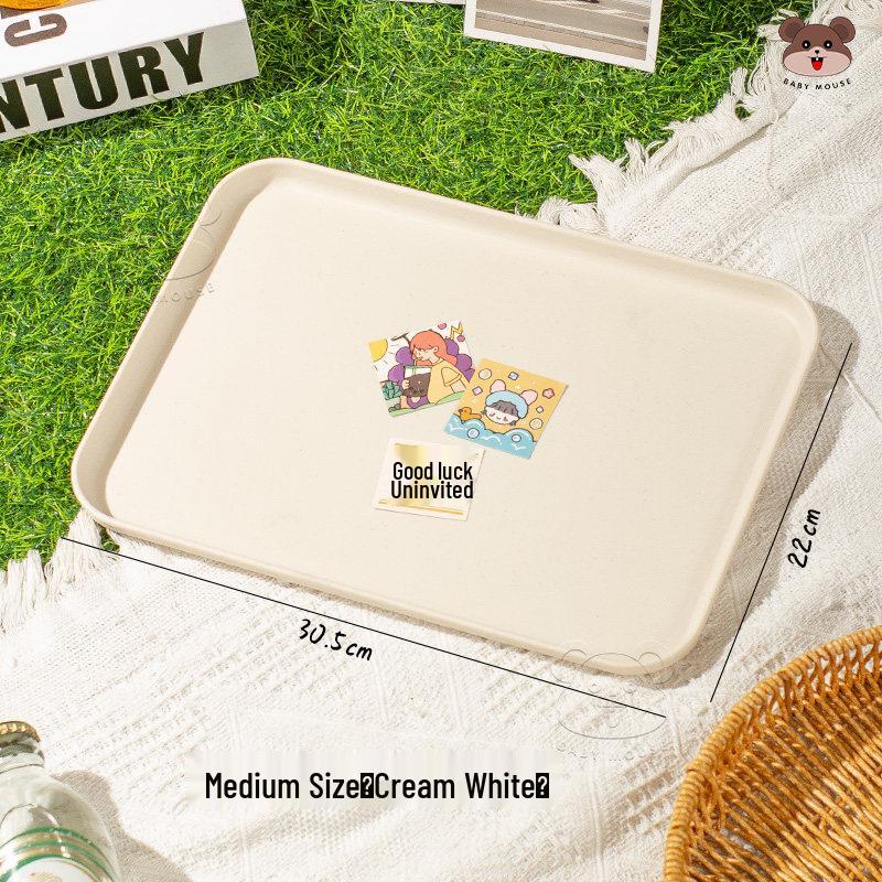 Japanese Style Plastic Snack Tray