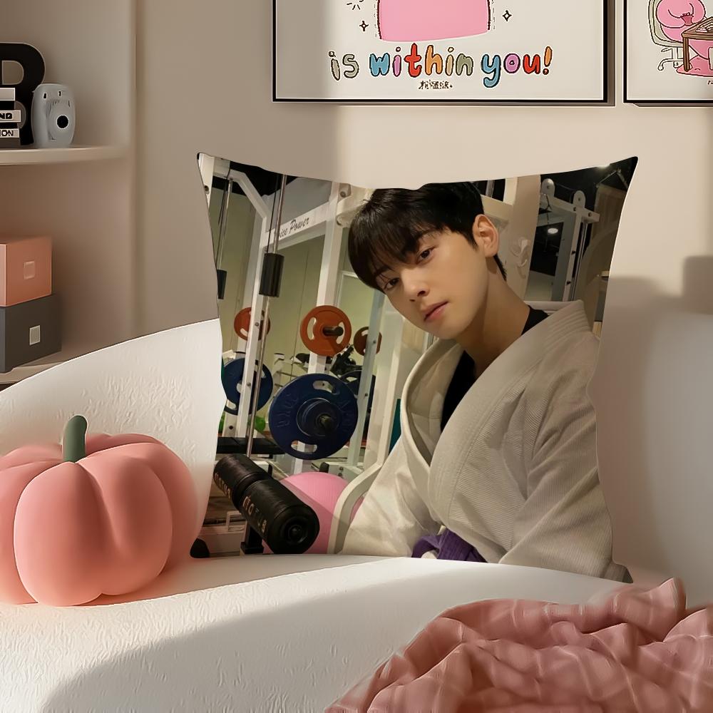Handsome Kpop Idol CCha EEun Woo Cushion Cover Pillowcase Short Plush Invisible Zipper Room Sofa Cushion Cover