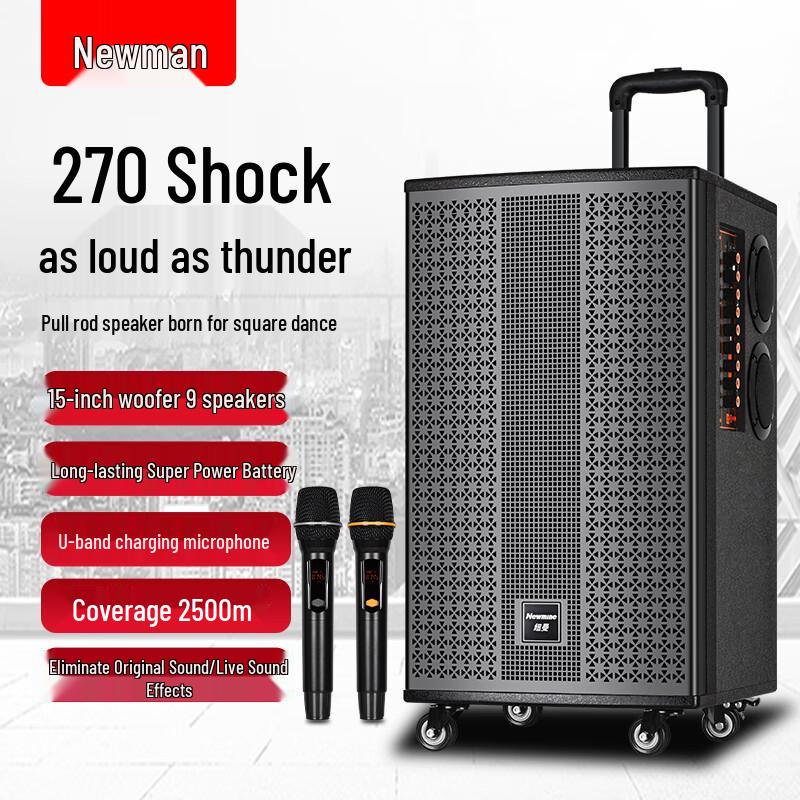 

Newman K33 12-inch Trolley Speaker with Dual Microphones