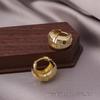 European American Style Luxury Stud Earrings: Elegant Cross-border Niche Hoops, Versatile Celebrity-inspired Accessories