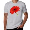 Red Gerbera Daisy T-Shirt Kawaii Clothes Heavyweights Cute Tops Mens Clothing
