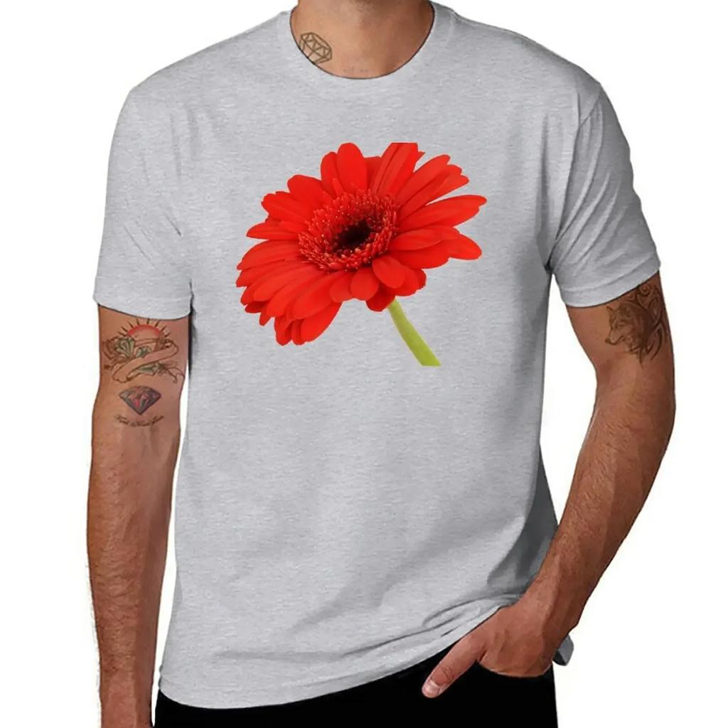 Red Gerbera Daisy T-Shirt Kawaii Clothes Heavyweights Cute Tops Mens Clothing