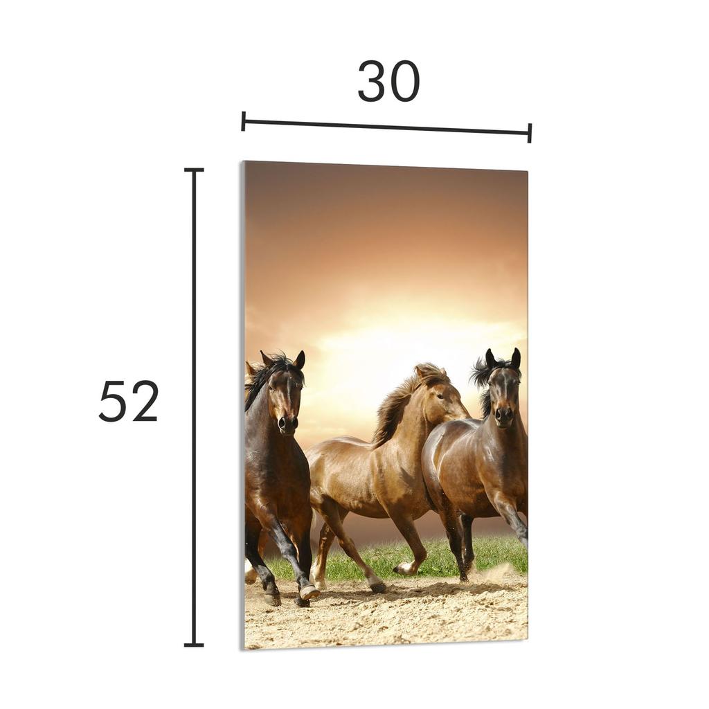 SZKLANA DESKA DO KROJENIA 30x52 Konie