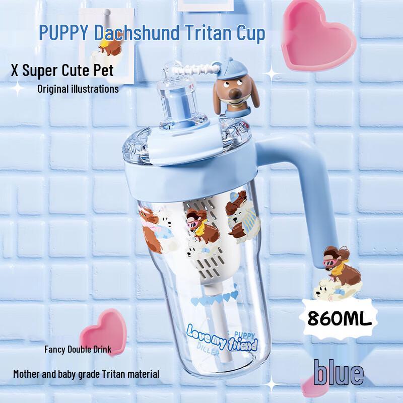 Dilebell D2533 Portable Insulated Water Bottle