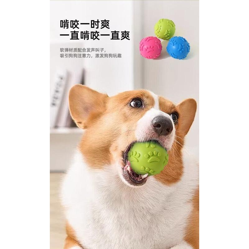 Dog Squeaky Rubber Chew Ball For Dog Training And Interactive Play