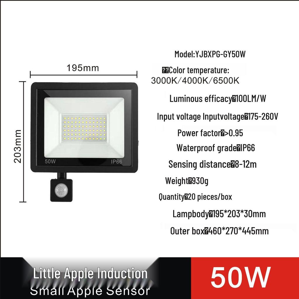Remote-Control LED Floodlight with Human Body Induction, 110V Wide Voltage, for Outdoor Use in Europe and America