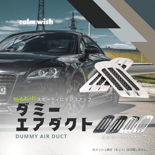 Calm Wish Dummy Duct Bonnet Front Body Fender Aero Air Intake Custom Dress Up Carbon Style 2 Pieces Universal