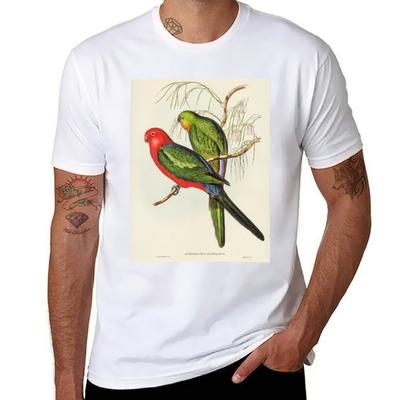 T-shirts e tops – T-Shirts
