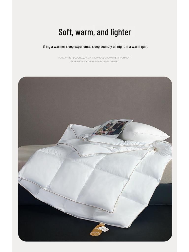 2025 Microfiber & Silk Cotton Quilt - Thickened Hotel Quality, Air Conditioning Comfort