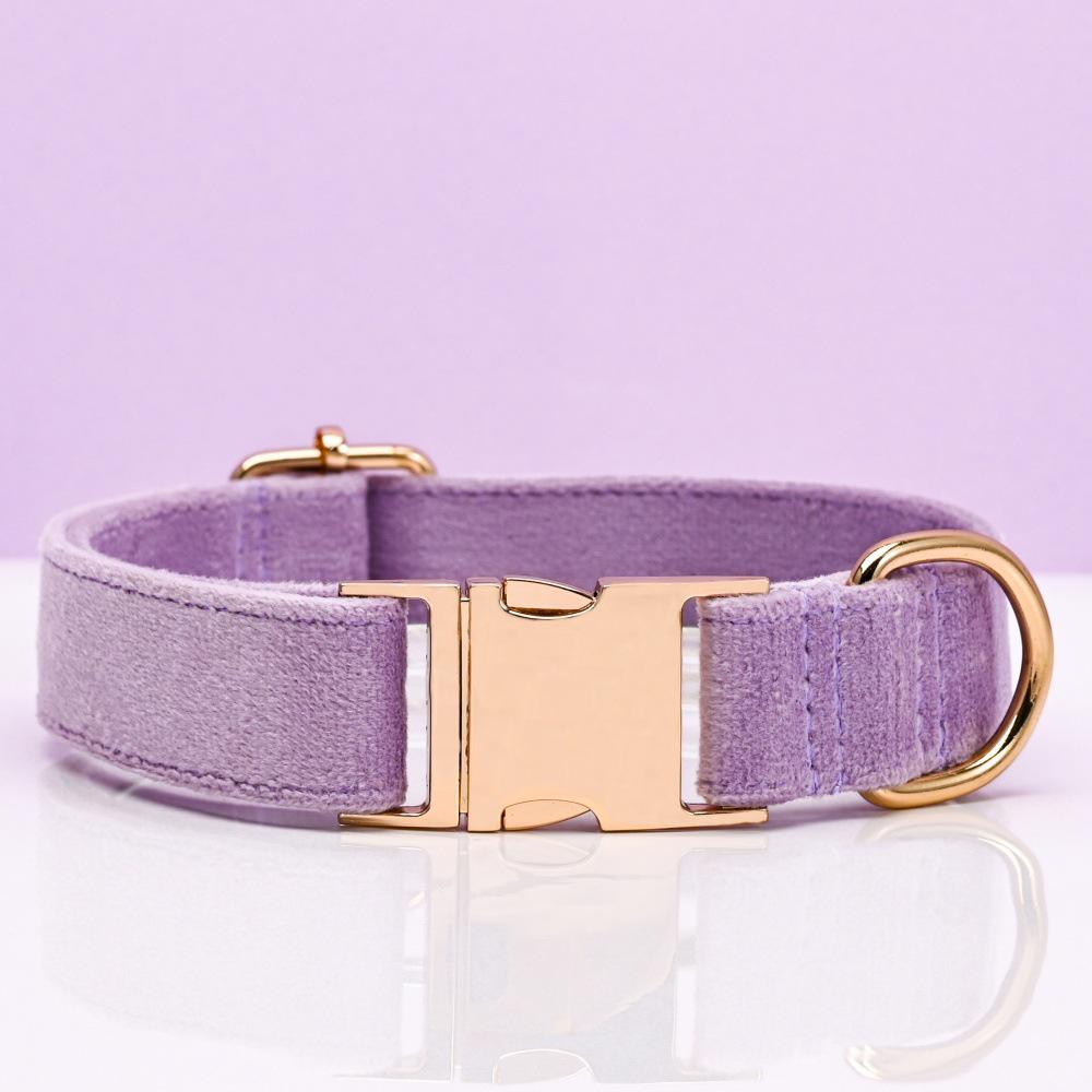 Ensemble collier et laisse pour chien en velours gravé avec boucle métallique réglable