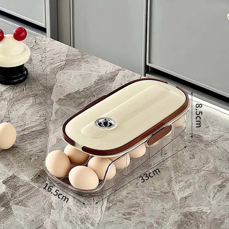 Multi-Layer Slanted Egg Rack for Refrigerator Door Storage