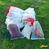 Nylon Mesh Fruit, Insect, Bird-Proof & Seed Bag