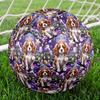 1pc Royal Canine Magic Size 5 Soccer Ball Professional Lightweight Durable Match Training Football Indoor &Outdoor Sports BallTraining Ball Y77