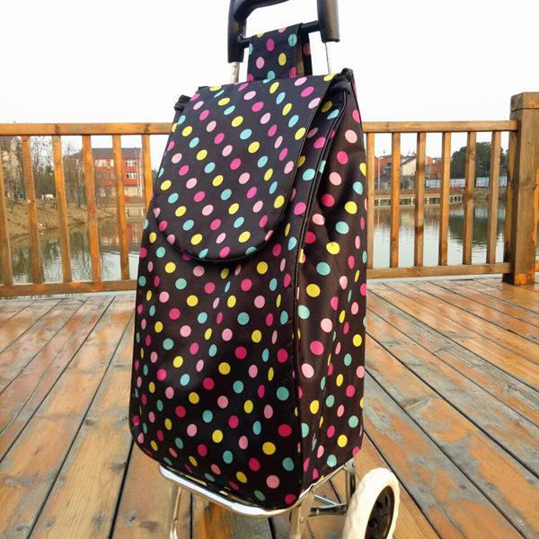 Carro Plegable Ligero para Personas Mayores - Carrito Portátil para Compras, Equipaje y Transporte