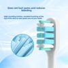 Toothbrush Head, Copper-free Hair Planting, High Rounding Rate, Adult Model, Suitable for Xiaomi Electric Toothbrush Head