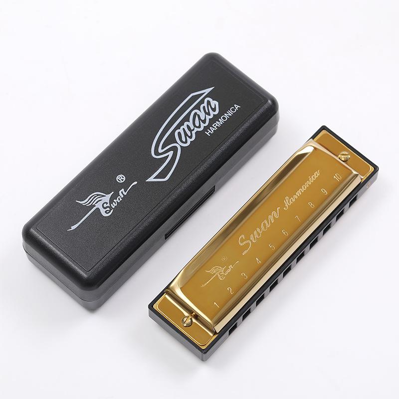 Mundharmonika 10 Löcher C-Ton Mundorgel Phosphorbronze Gehäuse Diatonische Anfänger-Mundharmonika Set für Kinder